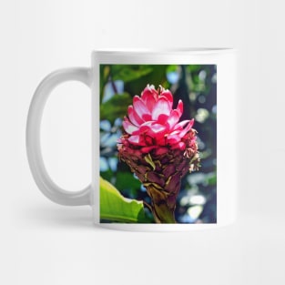 Pink Ginger Tropical Flower Plant Mug